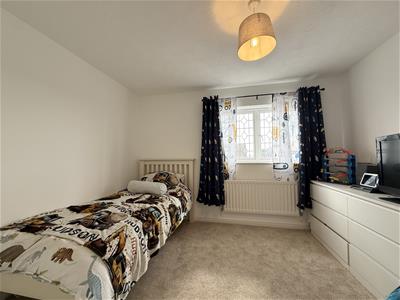 Picture 15